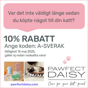PAWFECT DAISY
