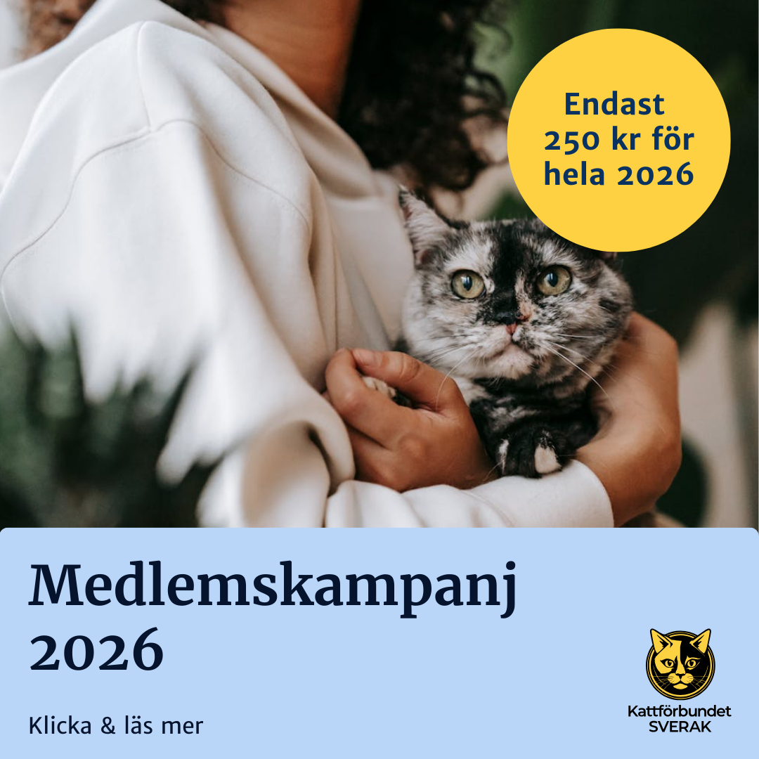 Medlemskampanj 2026 - Kattförbundet SVERAK