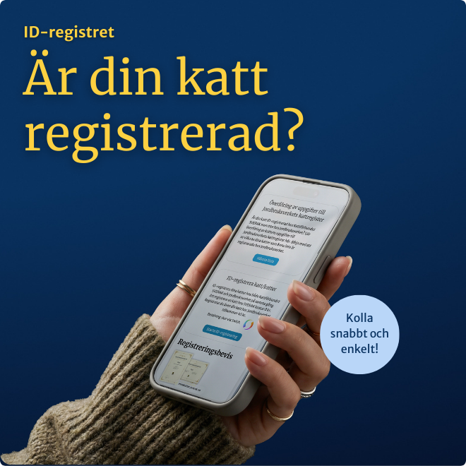 ID-registrering av katt